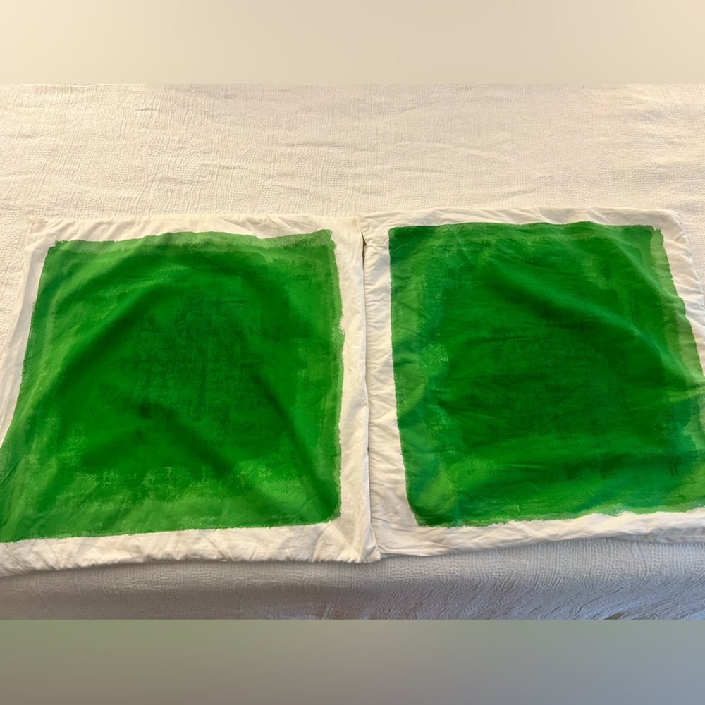 2 Kate spade euro sham covers